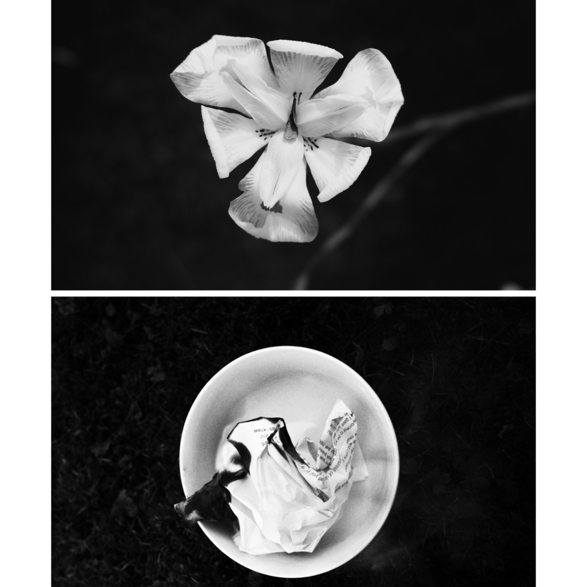Under One Moon: A Collaboration with Erica Wheadon | Part 1 of&nbsp;2