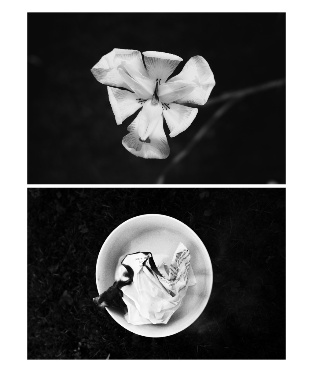 Under One Moon: A Collaboration with Erica Wheadon | Part 1 of 2