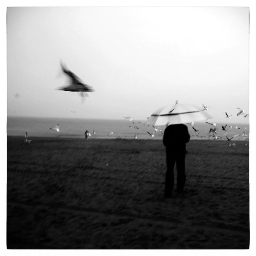 Coney Island