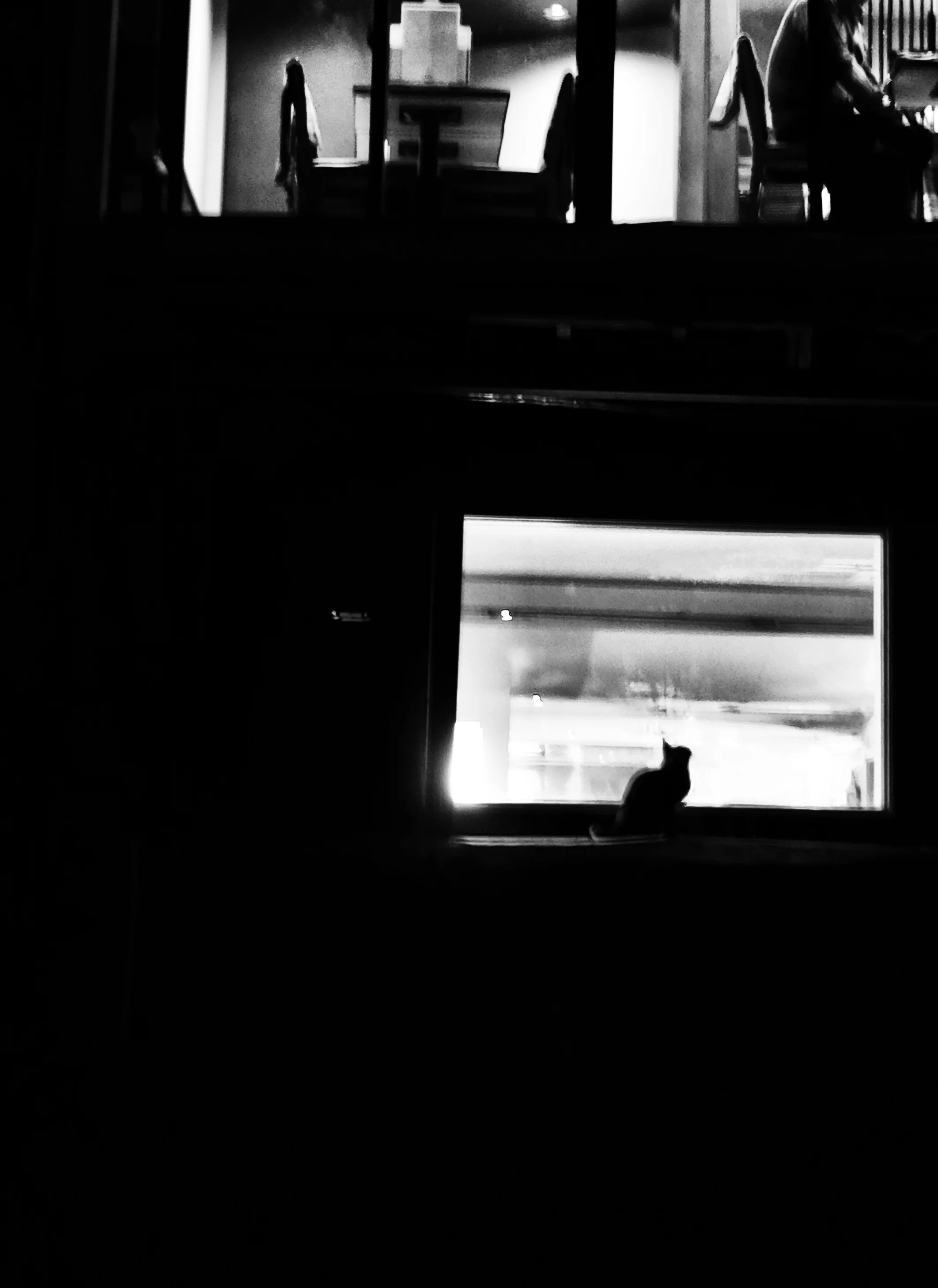 cat-final.jpg