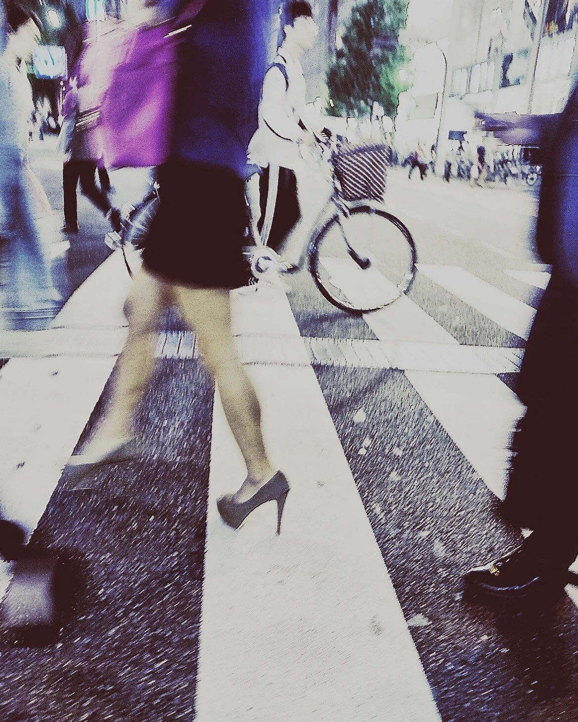 Enlight449.JPG