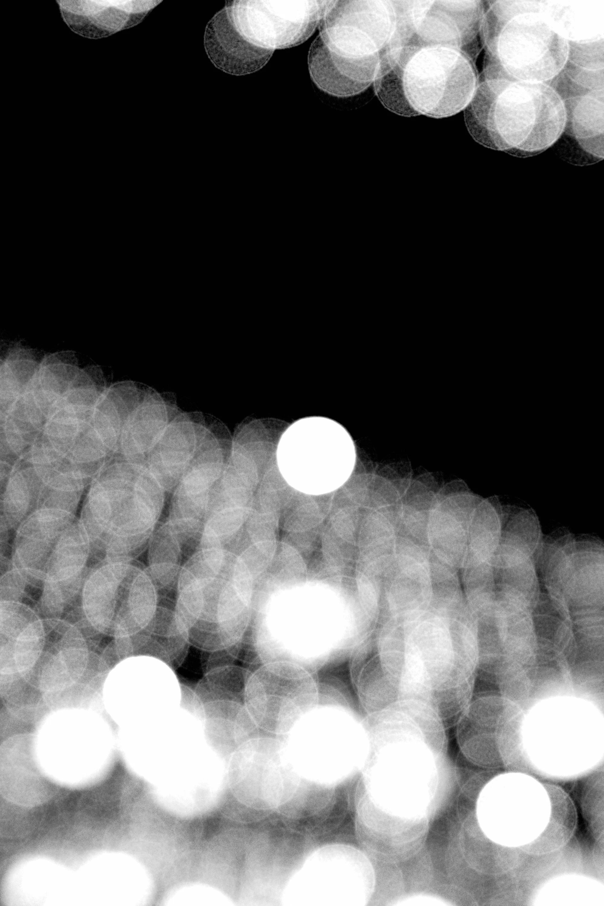R0002431-sm.jpg