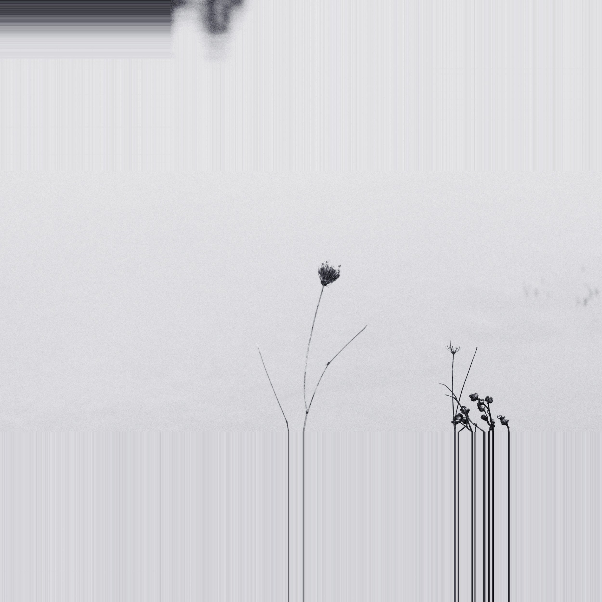10FBC5D6-46FD-4556-ABBE-8D5A3456E47A.JPG
