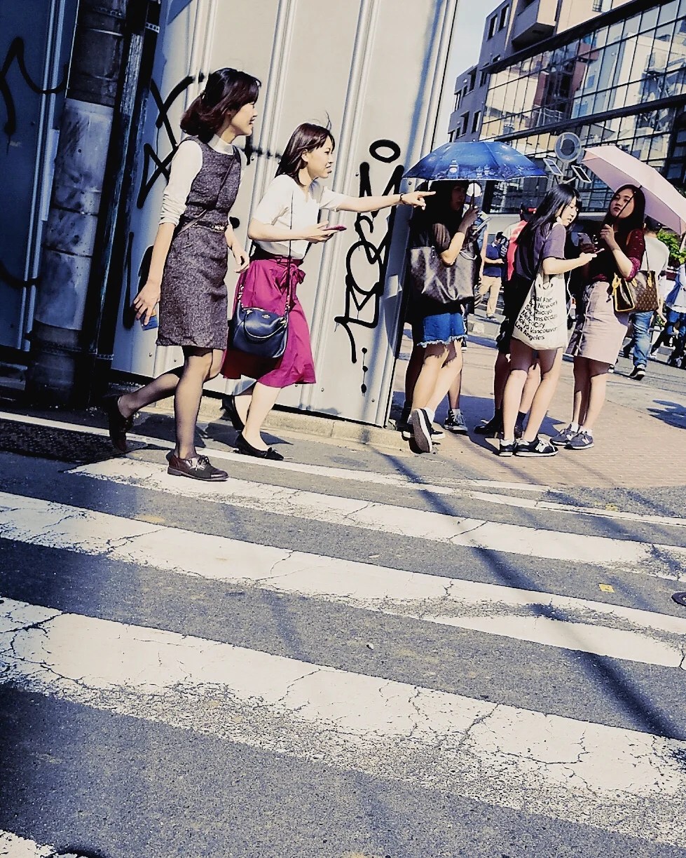 Enlight505.JPG