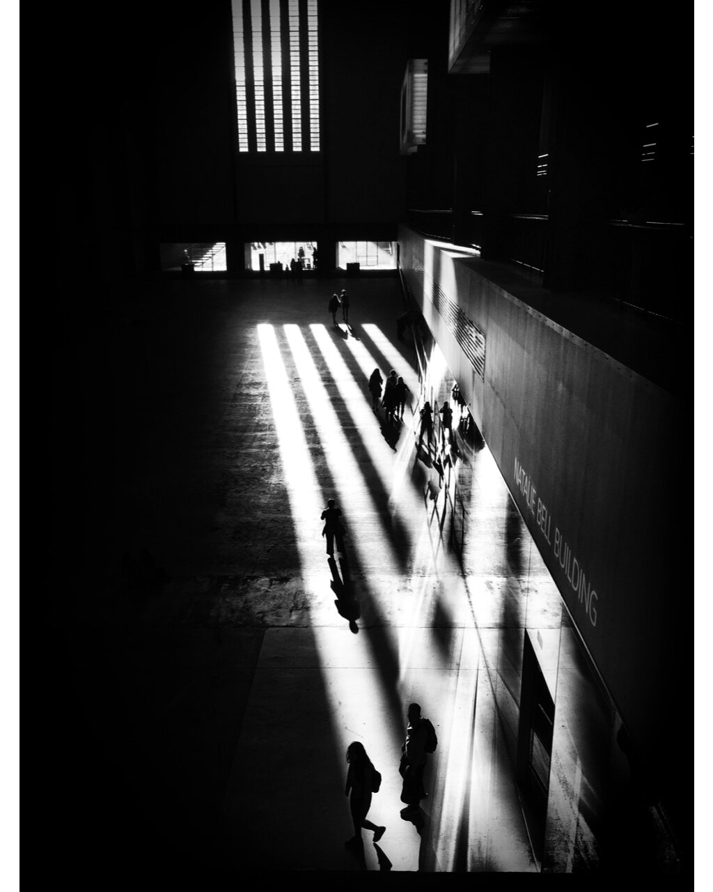 Enlight50.jpeg